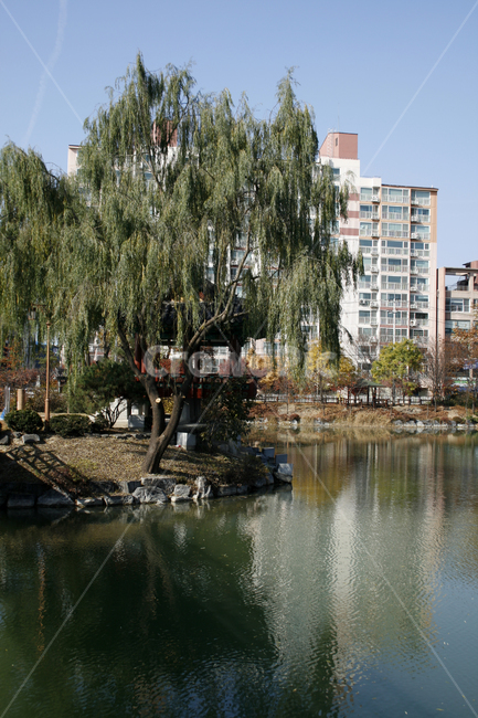 정자,풍경,호수,다리,나무,하늘,도시,풍경,city,landscape,tree,plant,식물,outdoors,옥외,nature,자연,water,물