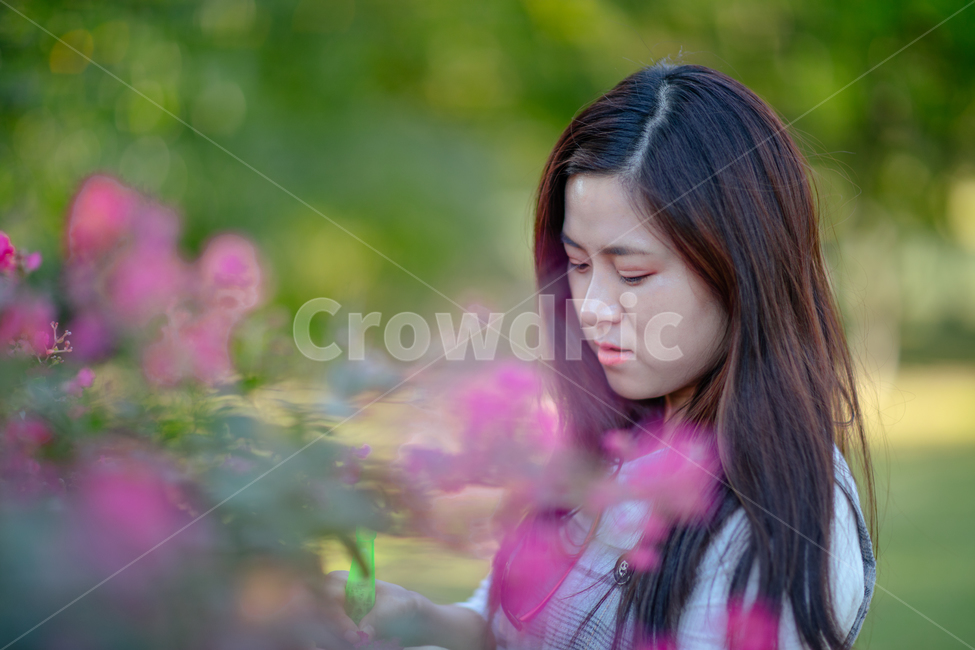 person,사람,human,인간,clothing,의류,apparel,의복,purple,보라색,꽃,flower,보케,bokeh,여자,woman,사람,인물,인간,human,person,여성,여자,woman,female,lady