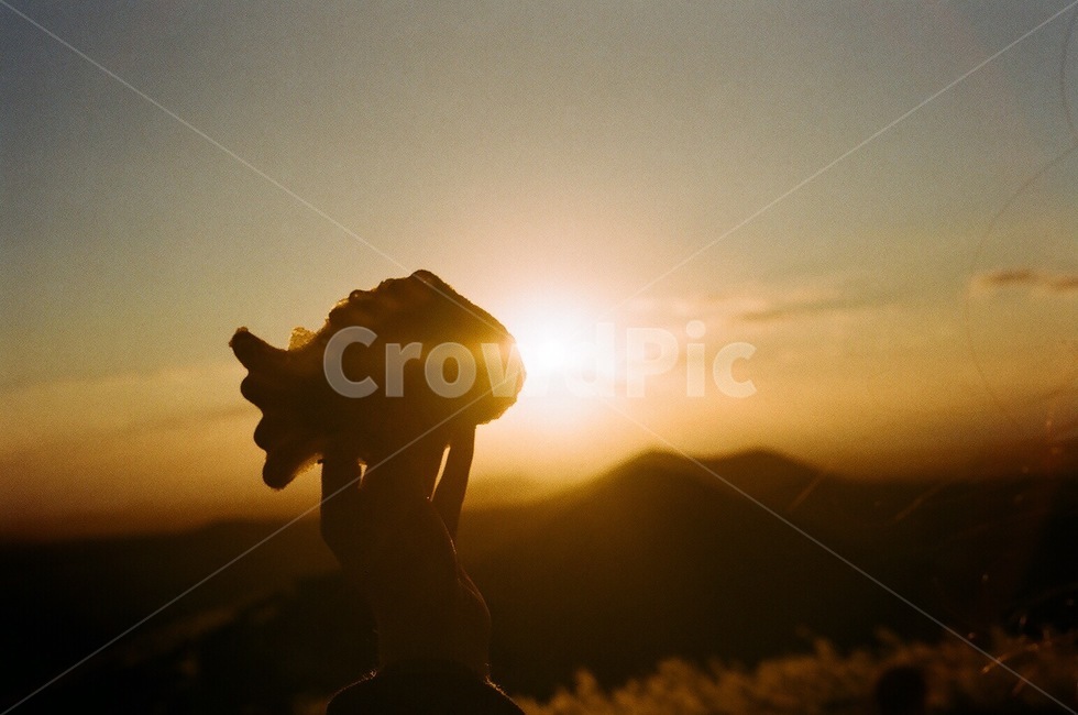 flare,플레어,light,빛,sunlight,햇빛,붕어빵,sunsrt,노을,하늘,태양