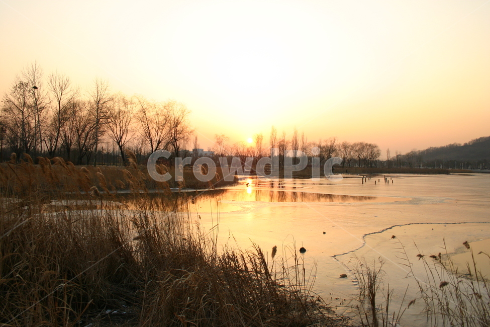 석양,노을,일몰,태양,해,호수,강,저녁,하늘,평화로움,조용,시골,갈대,억새,sunset,lake,water,sky,sun,landscape,sunrise,nature,clouds,trees,river,reflection,morning,dusk,forest,tree,orange,fog,dawn,yellow,evening,beautiful,silhouette,pond,golden,memory,recollection