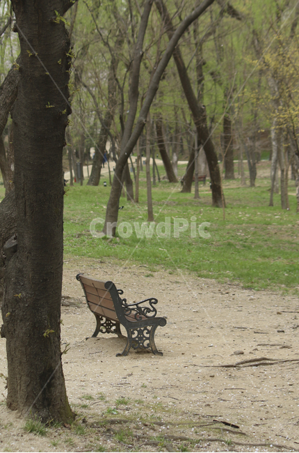 furniture,가구,bench,벤치,parkbench,공원벤치,공원,park