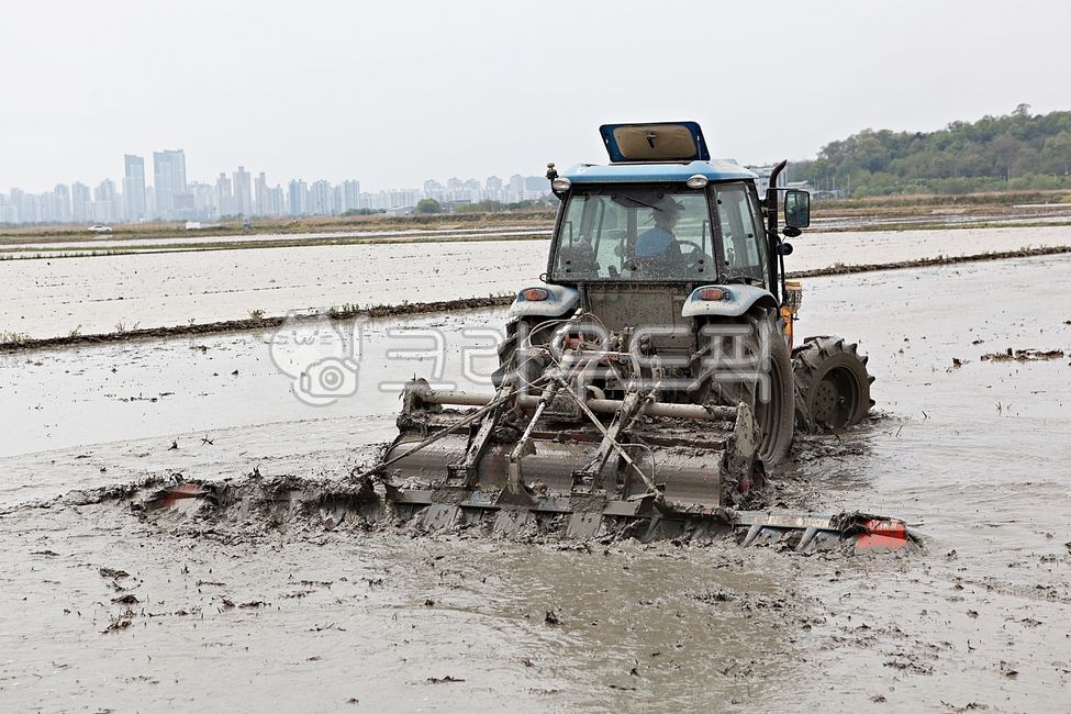 agricultural machinery,rice paddy,nature,automatic,outdoor,Its a mess,Selecting rice fields,machine,farming,sight,Agriculture,rice paddy farming