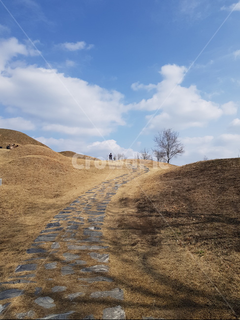 outdoors,옥외,field,들,grassland
