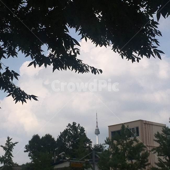 남산타워,뭉게구름,하늘,여름,감성