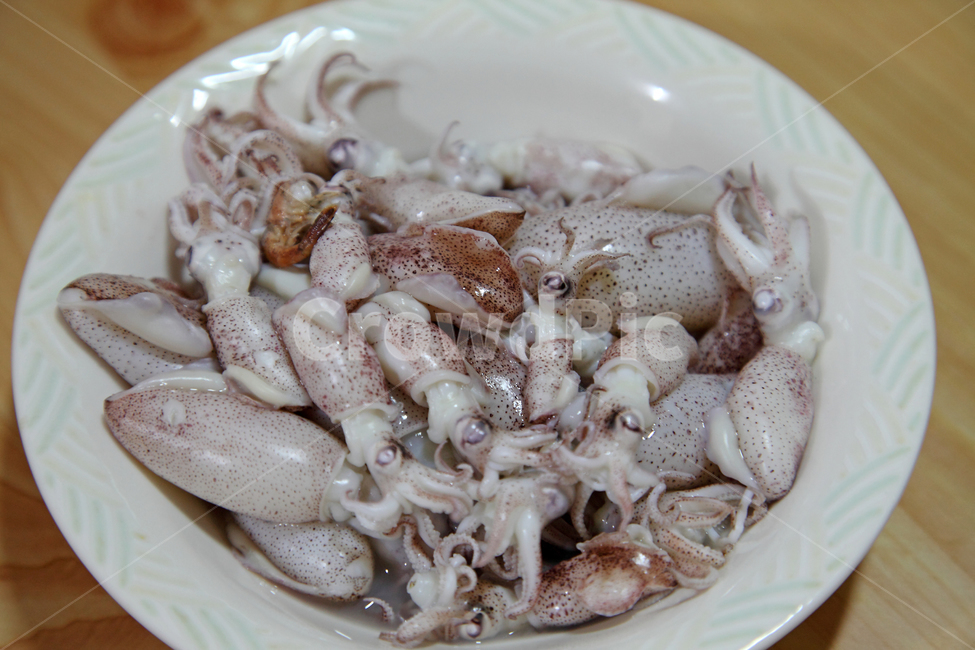 꼴뚜기,해산물,해물,음식,수산물,날것,회,꼴뚜기회,씨푸드,식재료,반찬,안주,술안주,접시,자연산,별미,신선한,연체동물,동물,음식,식재료,요리,food,cook,meal,dishes,food reserves,수산물,해산물,fishery products,seafood