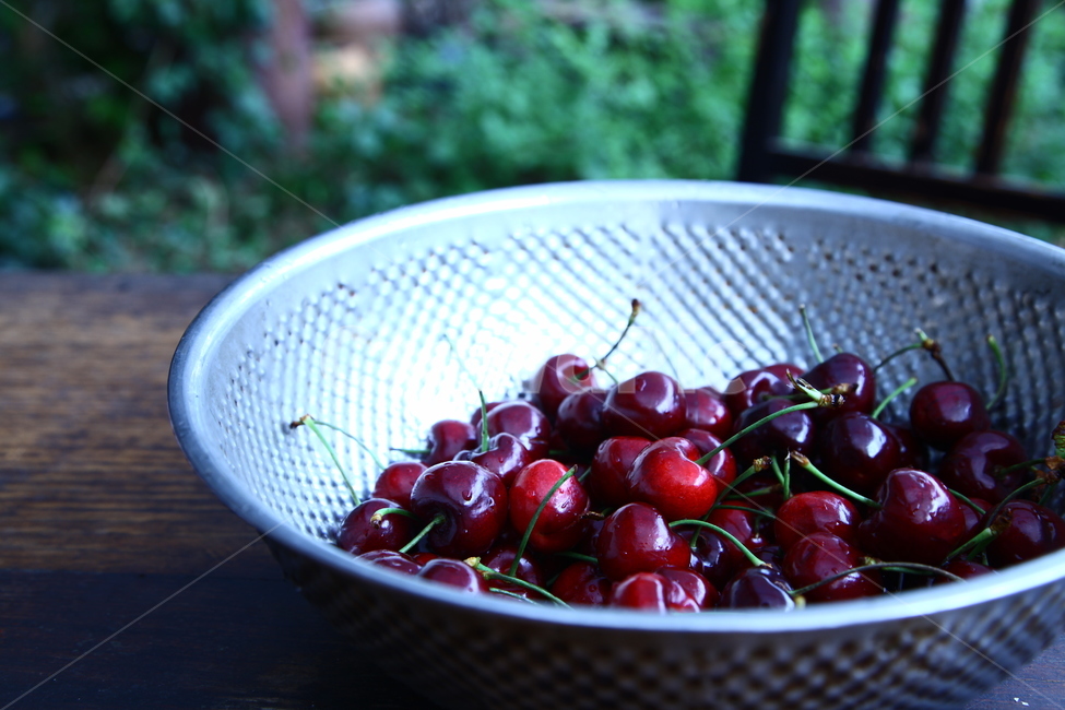 체리,과일,여름,휴가,상큼함,fruit,cherry,summer