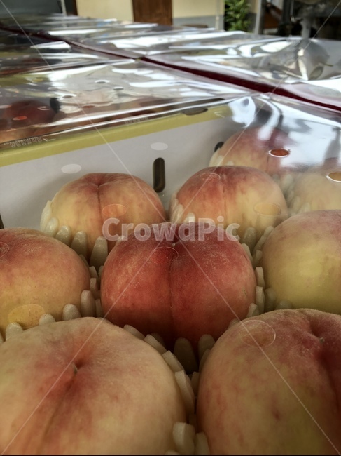 복숭아,과일,복숭아판매,추석과일,임산부,음식,식재료,요리,food,cook,meal,dishes,food reserves,과일,열매,fruit