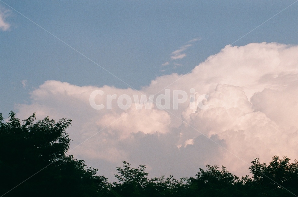 하늘,구름,나무,sky,cloud,skyline,여름하늘,자연,풍경,nature,landscape,weather,날씨,outdoors,옥외,cumulus,적운