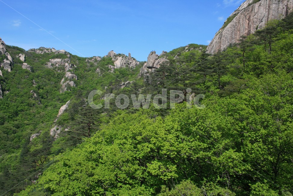 속리산,입석대,속리산국립공원,한국풍경,자연풍경,산,자연,자연,풍경,nature,landscape,outdoors,옥외