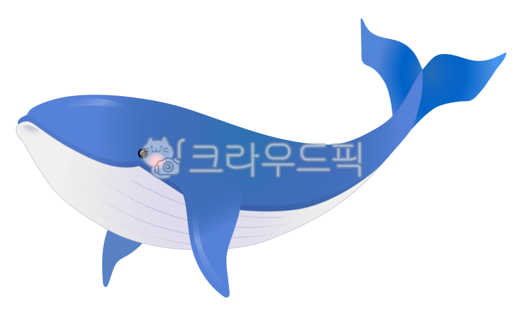 whale,Summer environment composition,animal,whale image,whale picture,mammalia