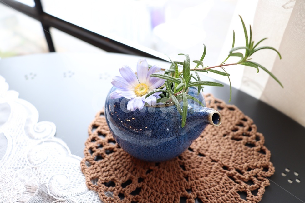 까페,꽃,인테리어,장식,테이블,주전자,plant,감성,식물,자연,plants,nature,실내용화초,화분,화초,house plant