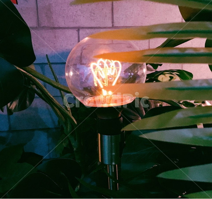 전구,감성,조명,불빛,anelectricbulb,emotional,lighting,light,인테리어,실내디자인,interior design,사물,물건,오브젝트,thing,object,matter