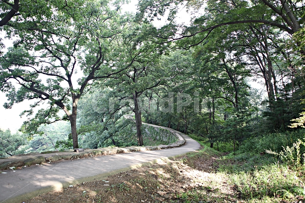 공주산성,성,산성,성곽,길,둘레길,숲,숲길,돌담,담,여름,풍경,흙담,벽,방어벽,나무,식물,유네스코등제