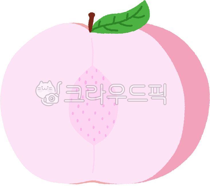 복숭아,단면,열린,과일,씨보임,일러스트,핑크,반쪽,귀여운,과일조각,깔끔한,평면,밝은색,미니멀,동글동글,연핑크,달콤한,맛있는,과일디자인,귀염,상큼한,통통한,그림,수채느낌,명랑한,과일컷,씹는맛