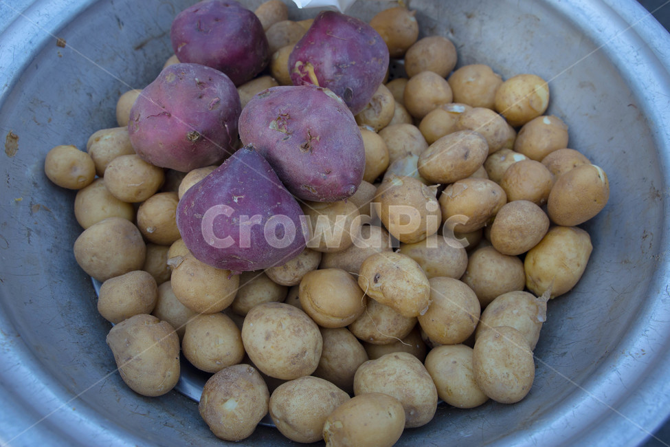 음식,식품,food,감자,고구마,plant,식물,음식,식재료,요리,food,cook,meal,dishes,food reserves