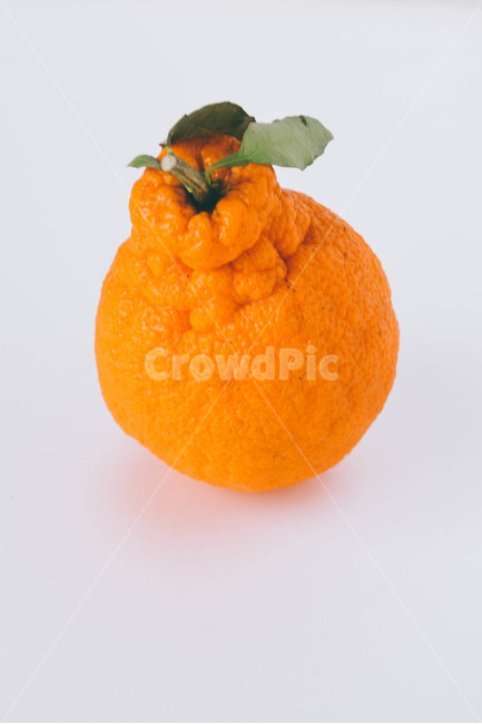 누끼,과일,누끼사진,한라봉,fruit,귤,시트러스,주황,잎사귀,노란,음식,식재료,요리,food,cook,meal,dishes,food reserves,과일,열매,fruit,누끼,remove background