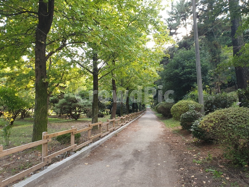 outdoors,옥외,garden,정원,arbour,정자,한국숲,산책코스,산책,가좌산