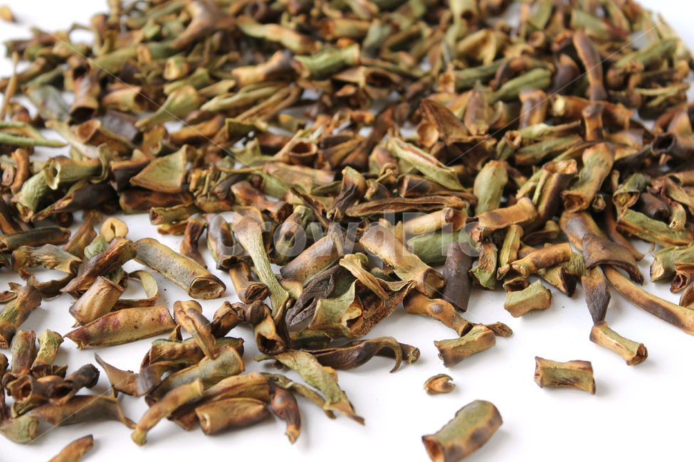 bean,beanpod,beanpods,brown,closeup,dry,food,green,healthy,natural,organic,plant,pod,tea,white,콩,콩깍지,콩껍질,브라운,갈색,건조,건조시킨,음식,식재료,차,자연,식물,흰배경,많은,건강,말린,음식,식재료,요리,food,cook,meal,dishes,food reserves