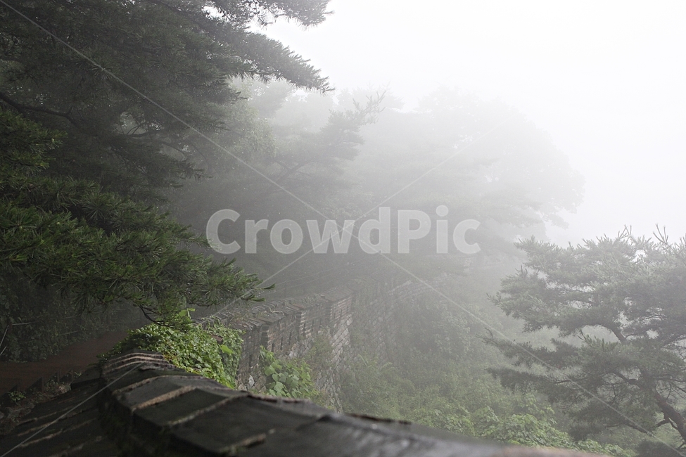 남한산성,성,성곽,둘레길길,숲,숲길,안개,돌담,담