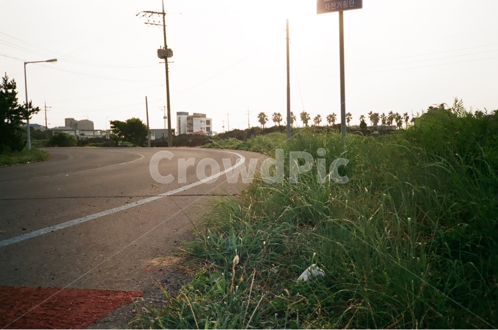 제주도,길거리,빛,필카,필름카메라,자연,풍경,nature,landscape,road,도로,asphalt,아스팔트