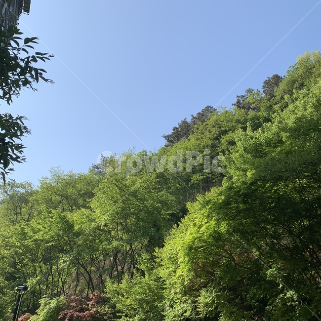 산,구름,하늘,자연,여름,숲,힐링,휴식
