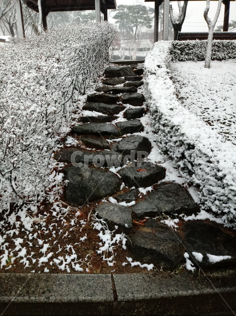 눈,설경,나무,나무가지,snow,하얀눈,자연,옥외,nature,winter,겨울,겨울,계절,winter,season