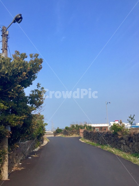 제주도,풍경,거리,나무,자연,제주도,jeju,jeju island,asphalt,아스팔트,tarmac,타맥,road,도로