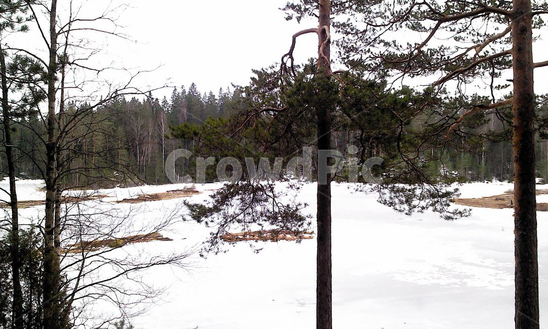 눈,겨울,공원,호수,얼음,흰색,winter,snow,ice,lake,white