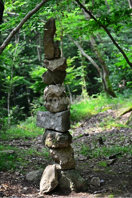 outdoors,옥외,nature,자연,tree,나무,plant,식물,vegetation,초목,고창,선운사,걔곡,탑,돌탑,정성,기도