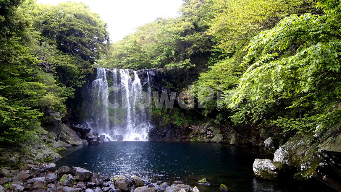 water,물,nature,자연,outdoors,옥외,waterfall,폭포,scenery,경치,풍경,landscape,제주도,jeju,자연,풍경,nature,landscape,한국자연풍경,한국자연경관,korea nature landscape,제주도,jeju,jeju island