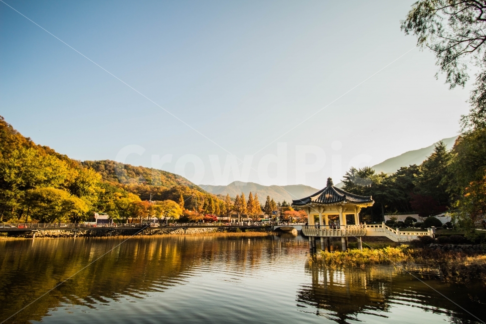 단풍,저수지,금오산,전경,구미,가을,계절,fall,autumn,season,자연,풍경,nature,landscape,한국자연풍경,한국자연경관,korea nature landscape,water,물,outdoors,옥외