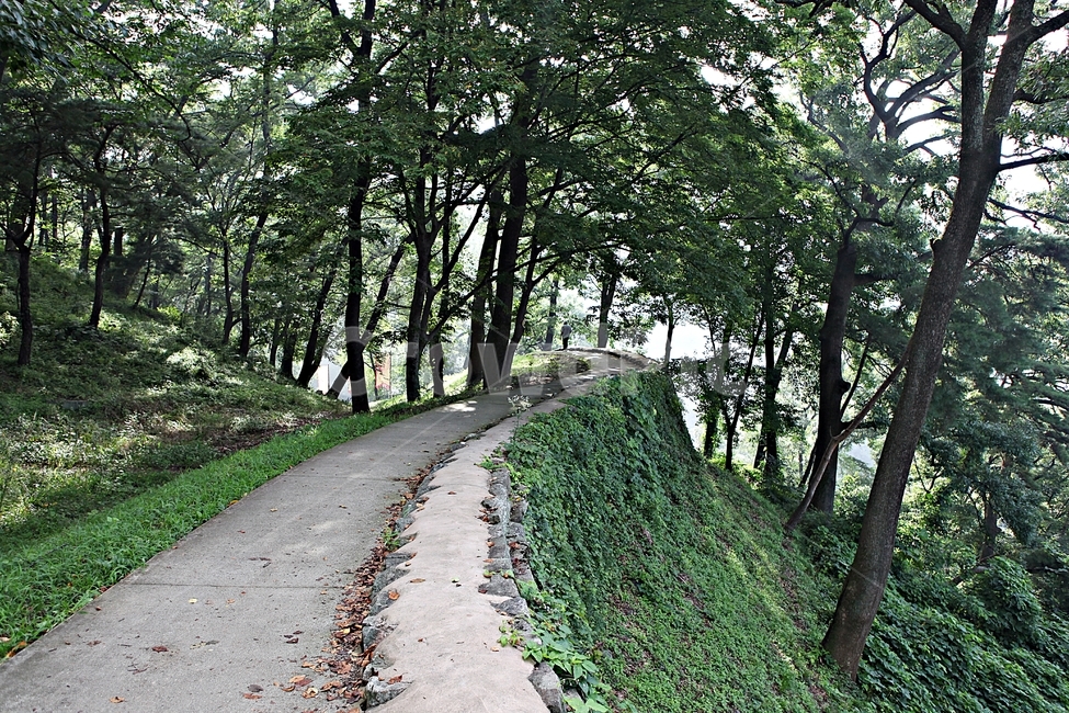 공주산성,산성,성,성곽,길,둘레길,숲,숲길,안개,담,돌담,여름,풍경,흙담,나무,식물,유네스코등제