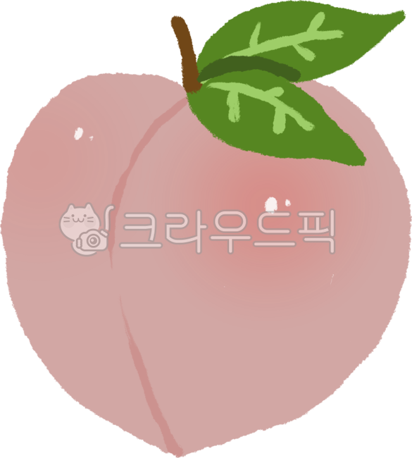 fruit illustration,fruit,snack,cool,peach,seasonal fruits,summer,food,summer seasonal fruit,sweet