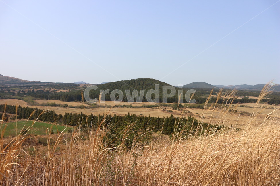 억새,산,가을,바람,따라비오름