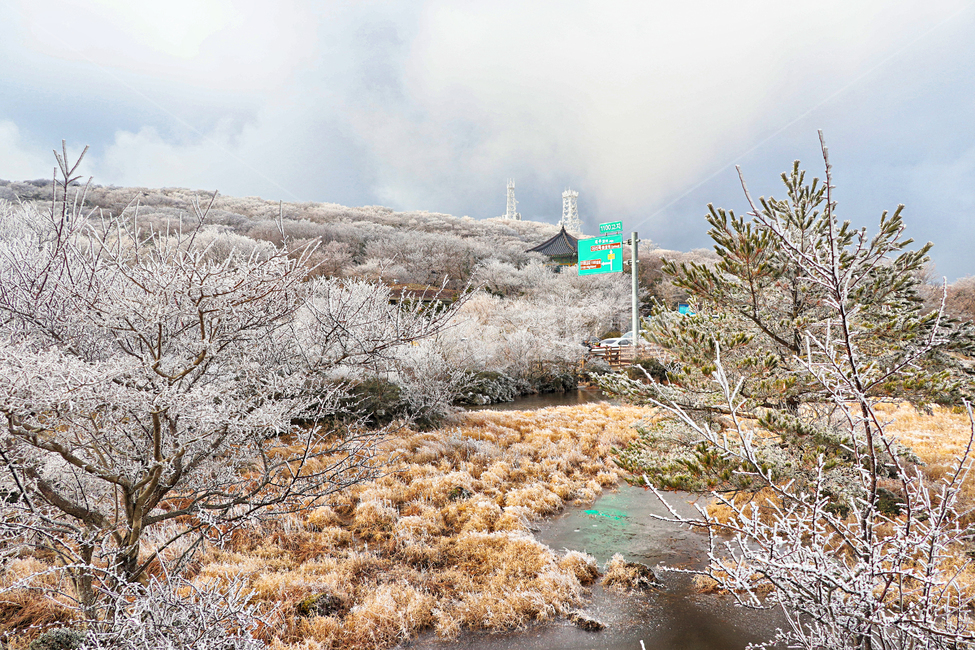 제주도,한라산,1100고지,한라산1100고지,설경,눈꽃,눈,겨울,snow,옥외,자연