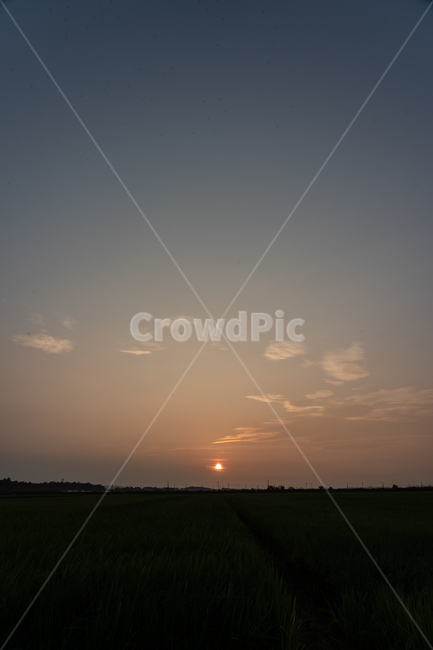 nature,자연,일몰,sunset,sky,하늘