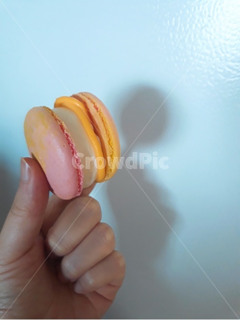 마카롱,디저트,달콤한,그림자,손,달달한