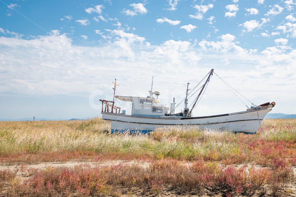 들판,평야,하늘,배,보트,외딴배,버려진배,field,plain,sky,boat,abandoned,oldboat,ship