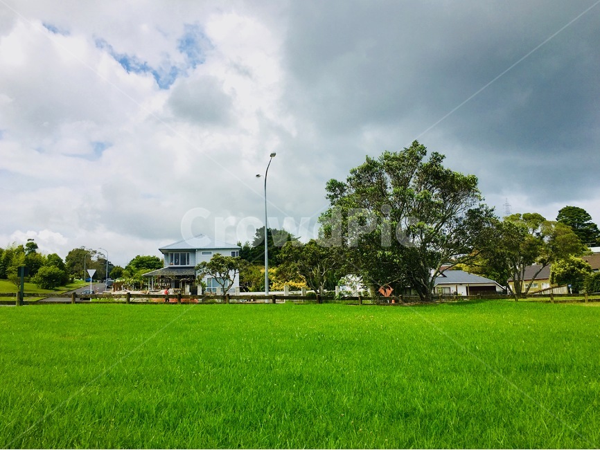 New Zealand,sky,rest,nature,grass,sight,Auckland