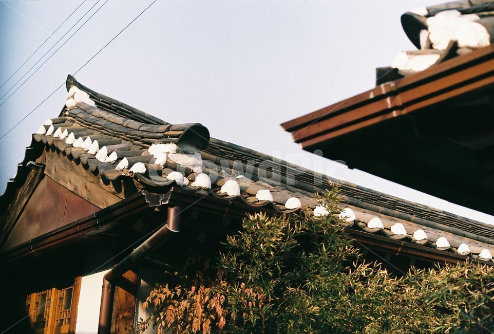 한옥,전통,전통가옥,마당,한국전통