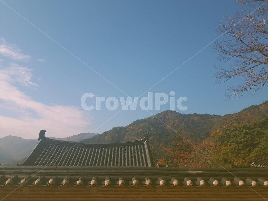 roof,지붕,풍경,한옥,koreanhouse