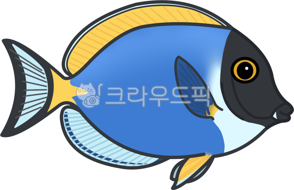 열대어,바다물고기,해양생물,파우더블루탱,물고기캐릭터,파란물고기,열대바다,물고기그림,물고기드로잉,바닷속생물,동물그림,바다생물,피쉬그림,피쉬드로잉,물고기종류