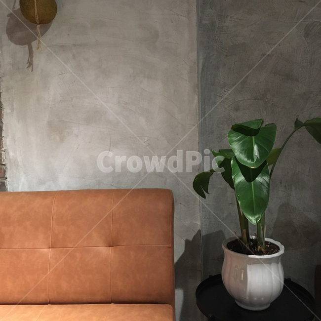 카페,인테리어,콘크리트,노출콘크리트,화분,인테리어,실내디자인,interior design