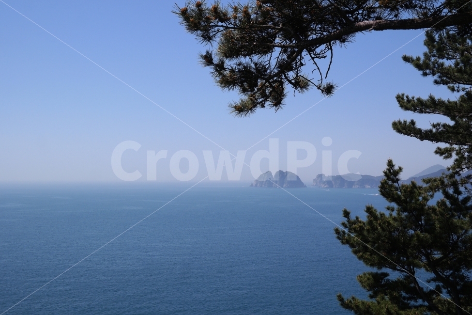 바다,섬,하늘,소나무,맑음,안개,수평선,파랑,자연,풍경,nature,landscape,outdoors,옥외,land,땅,sea,water,물,ocean,대양,shoreline,해안선,coast,연안