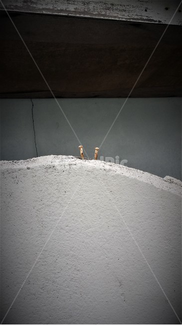 못,뾰족한,나사,감성,마음,벽,건물,건축,여백,공백,분위기,콘크리트,철,공구,옛날집,회색배경,어두움,tools,gray,담장,감성사진,차가운,nail,건축물