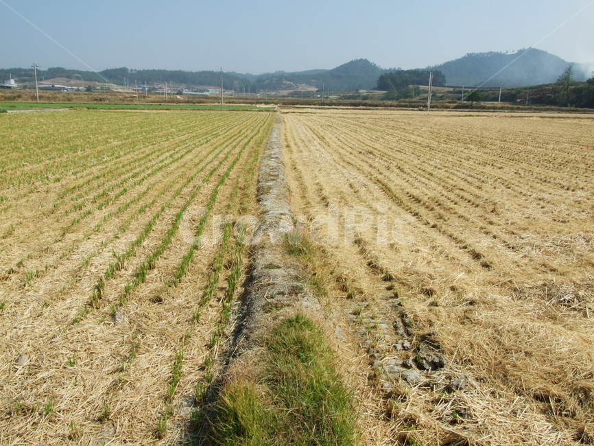 시골풍경,추수후의논,논두렁,들판,고향,시골,마을,풍경,landscape,country,rural,town