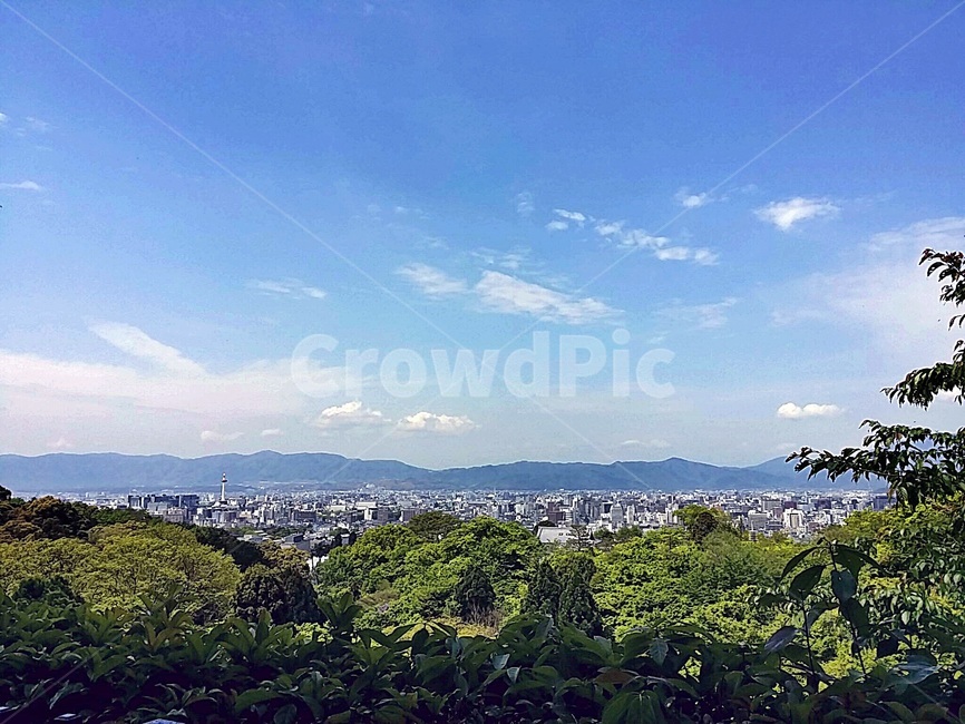도시풍경,하늘,나무,도시,city,자연,풍경,nature,landscape,outdoors,옥외,scenery,경치