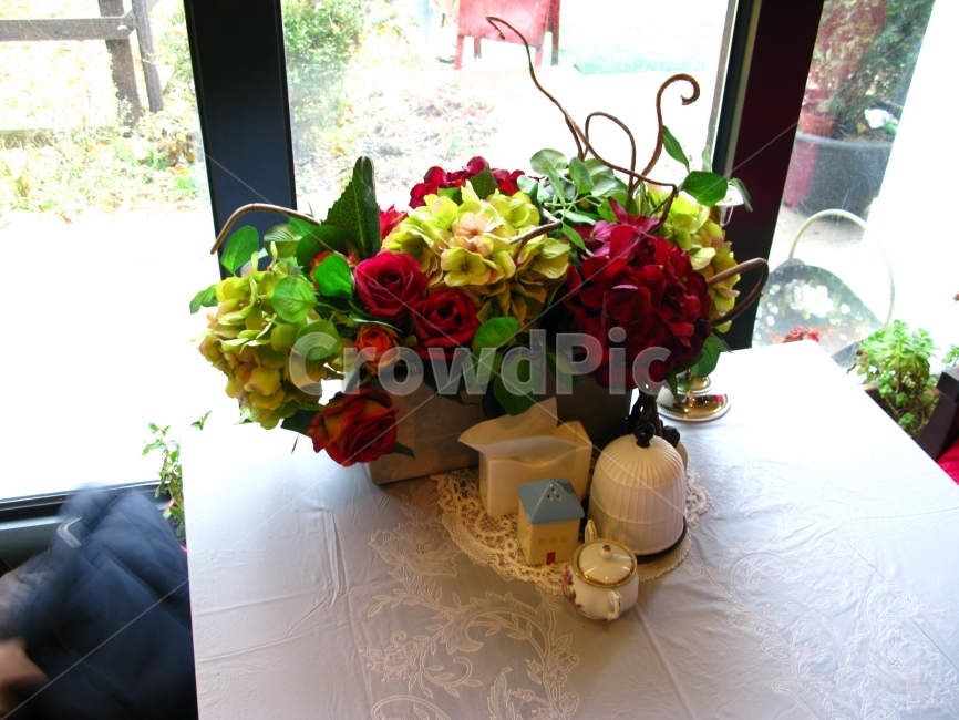 카페,꽃,아름다운,화려한,빨간,식물,자연,plants,nature,꽃,flower,실내용화초,화분,화초,house plant,인테리어,실내디자인,interior design