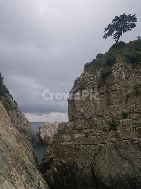 보타니아,외도,바다,보타니아섬,거제도,자연,풍경,nature,landscape,한국자연풍경,한국자연경관,korea nature landscape,outdoors,옥외,cliff,낭떠러지,promontory,곶