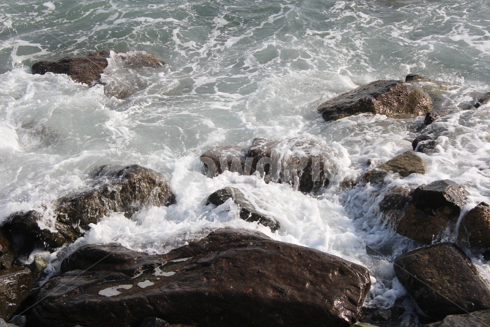 바닷가,갯바위,파도,파도치는바다,바위와파도,자연,풍경,nature,landscape,ocean,대양,sea,바다,water,물,outdoors,옥외